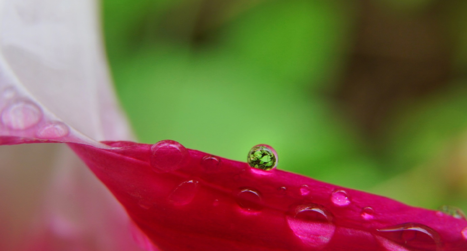 Participe da mostra Água, origem da vida. Inscrições até 7 de março no Museu Municipal. Foto Mel Bertucci