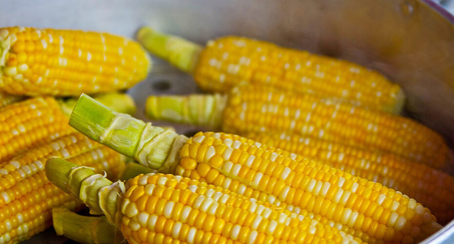 Prefeitura de Socorro e COMDER promovem retorno da Festa do Milho com almoço beneficente em prol da APAE