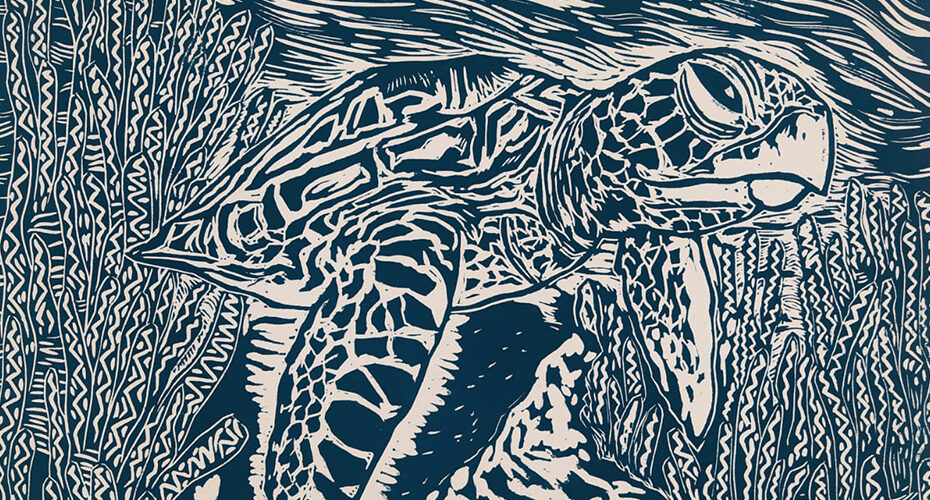 Museu de Socorro abre exposições para despertar consciência em torno da preservação e consumo consciente da água