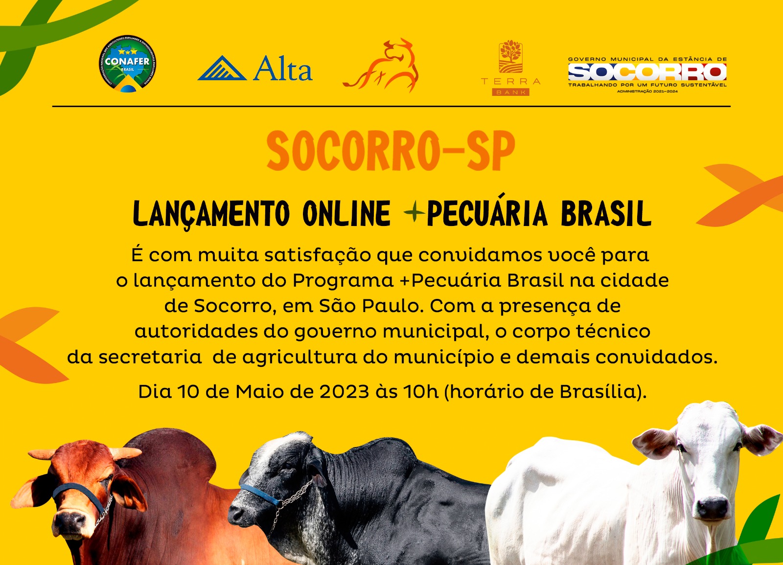 Lançamento online do programa + Pecuária Brasil em Socorro será amanhã, às 10h