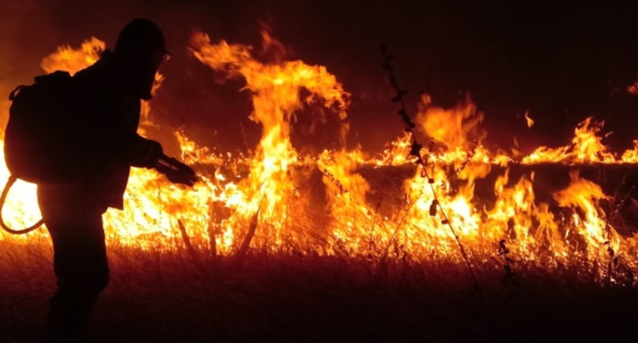Defesa Civil e Corpo de Bombeiros de Socorro promovem oficina preparatória para Operação Corta-Fogo 2023