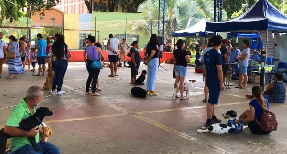 Prefeitura de Socorro castra mais de 130 animais durante o mês de abril