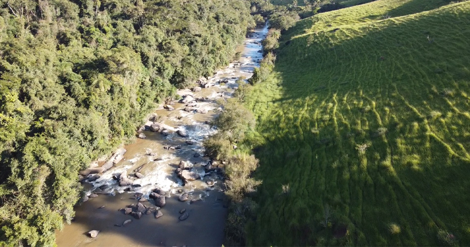 Secretaria de Meio Ambiente e Desenvolvimento Sustentável firma parceria com Copaíba para restauração florestal