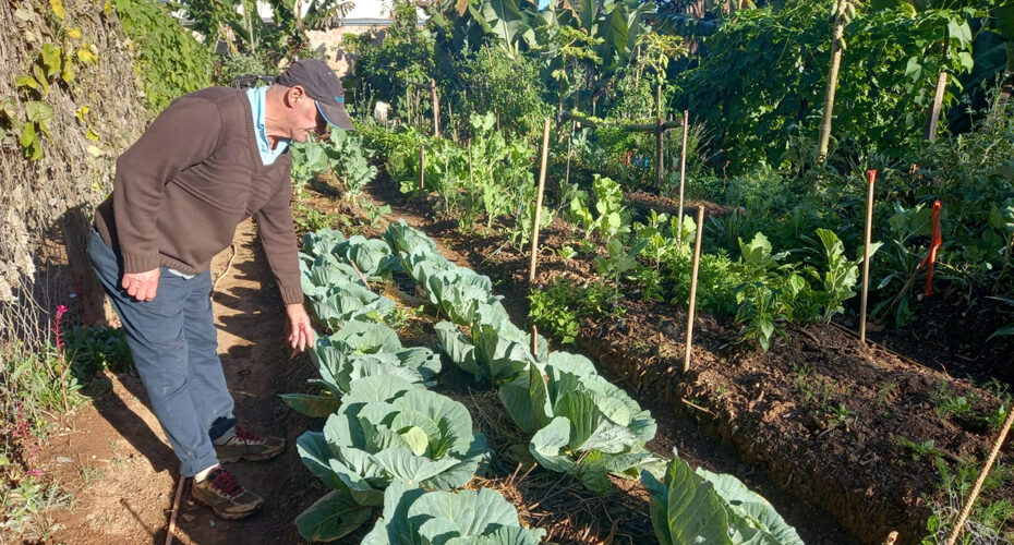 Horta Urbana Agroecológica é revitalizada