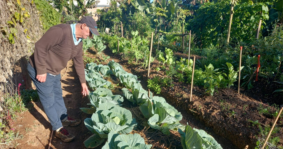 Horta Urbana Agroecológica é revitalizada