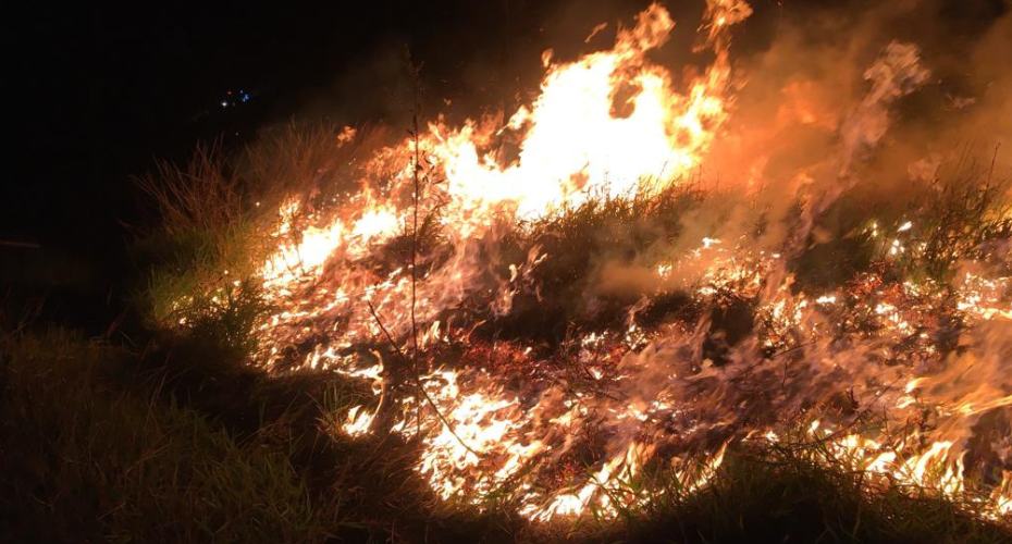Prefeitura autua responsáveis por queimadas em Socorro